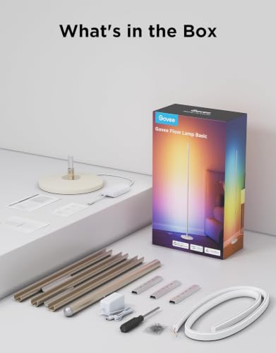 RGBIC Floor Lamp Basic