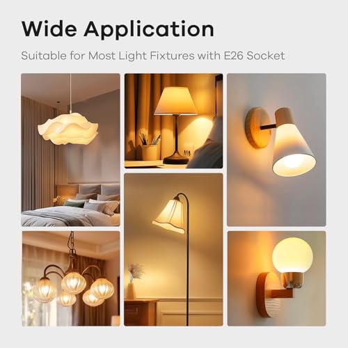 A19 LED Light Bulbs Dimmable (12 Count)