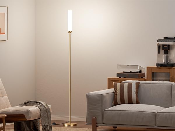 LED Floor Lamp with Remote Control
