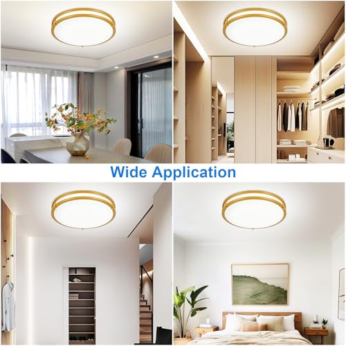 DLLT Flush Mount LED Ceiling Light