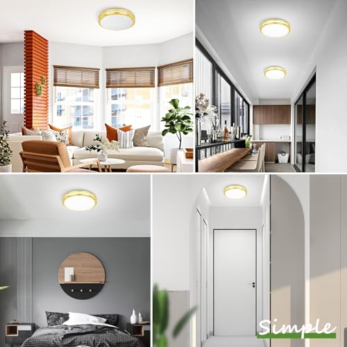 2 Pack Gold Flush Mount LED Ceiling Light Fixture (2 Count)