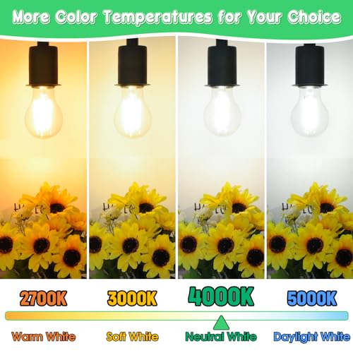 60W Equivalent E26 LED Filament Light Bulbs (4 Count)