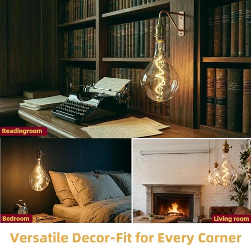 A165 Oversized Vintage LED Irregular Edison Bulb
