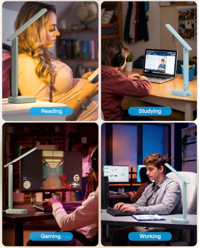 LED Desk Lamp