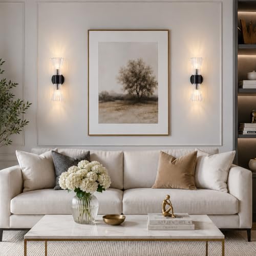 Black Glass Wall Sconce Light