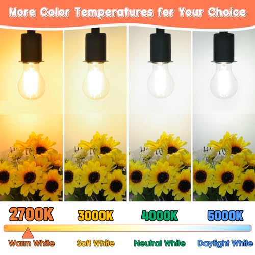 60W Equivalent E26 LED Filament Light Bulbs (4 Count)