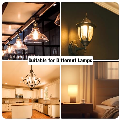 12 Pack Vintage LED Edison Bulbs (12 Count)