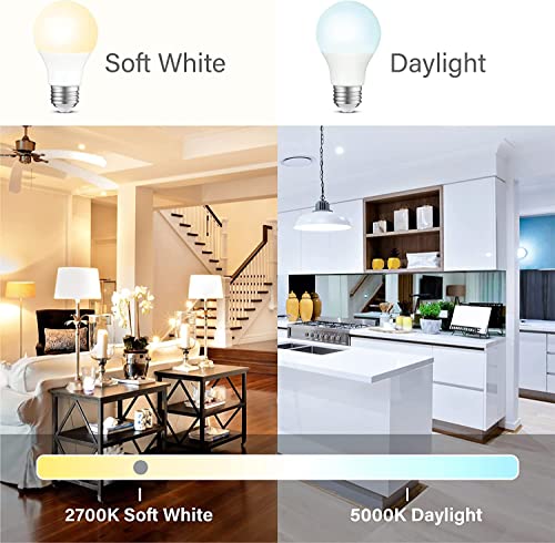 LED Light Bulbs 60 Watt Equivalent A19 Standard Light Bulbs 2700K Warm (4 Count)