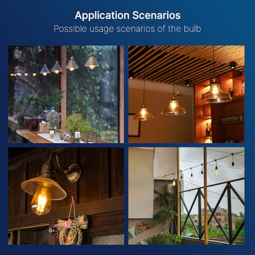 ST19 LED Edison Bulbs 40W Equivalent (4 Count)