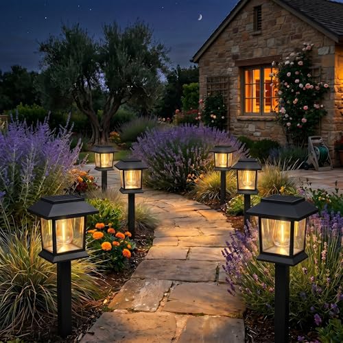 Solar Outdoor Lights (12 Count)