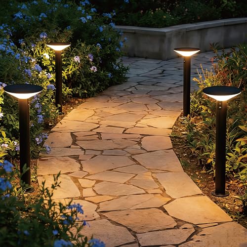 Premium Solar Pathway Lights Outdoor (2 Count)