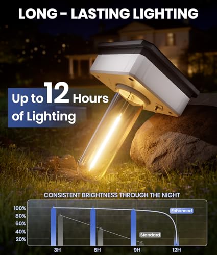 Solar Pathway Lights Outdoor (4 Count)