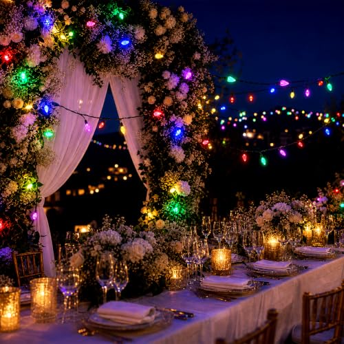 C6 Gentle Twinkle Christmas Lights (Multicolor / 60 LED)