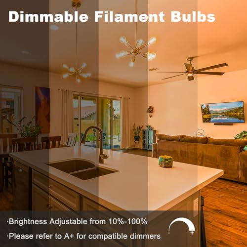 A19 LED Edison Light Bulb (6 Count)