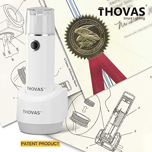 THOVAS Emergency Flashlight (3 Count)