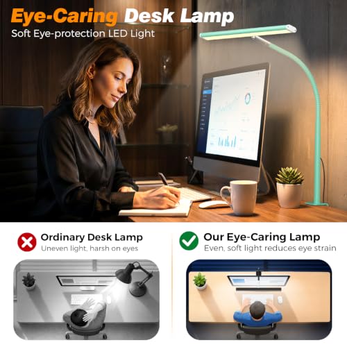 LED Desk Lamp with Clamp