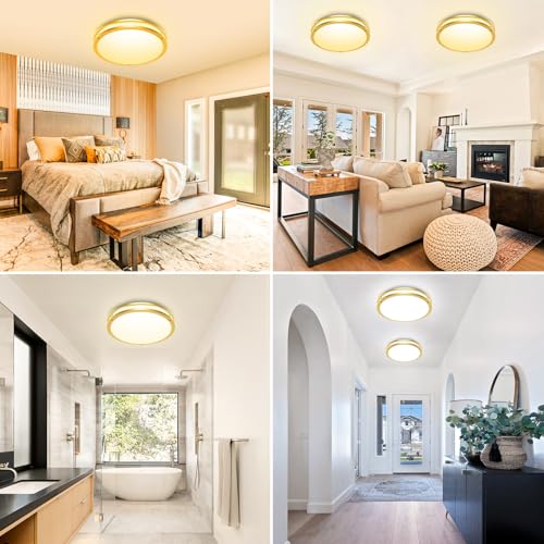 2 Pack Flush Mount Ceiling Light Fixture (2 Count)