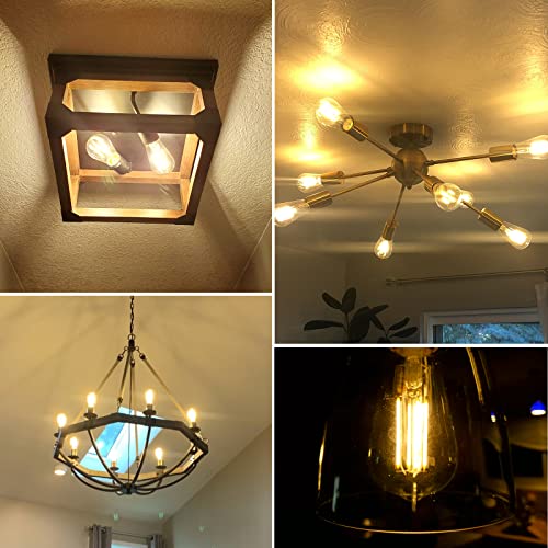 LED Light Bulbs Dimmable Vintage Edison Bulb (4 Count)