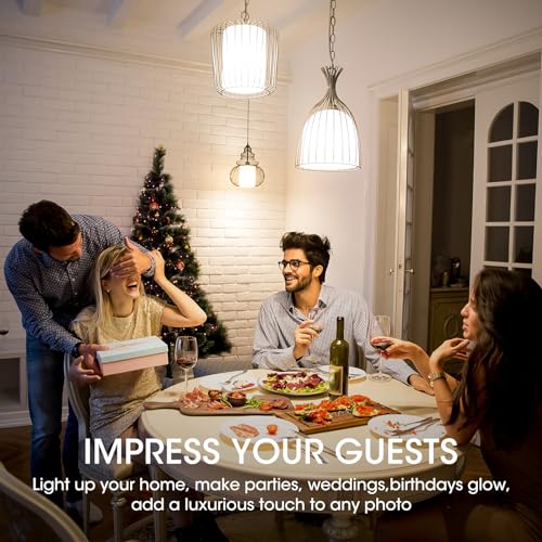 LED Edison Light Bulbs (12 Count)