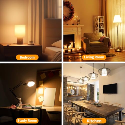 LED Light Bulbs (6 Count)