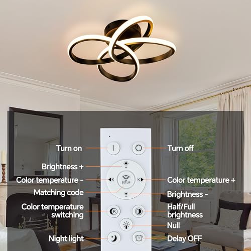 Modern Ceiling Light