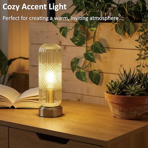 11.6 Inch Touch Dimmable Table Lamp with Ribbed Glass Shade