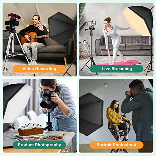 Softbox Lighting Kit (6 Count)