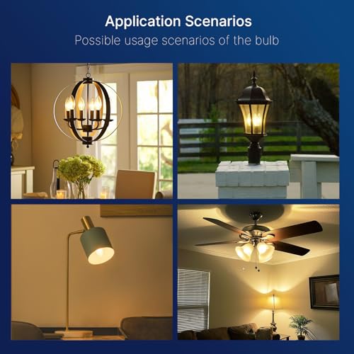 60W Equivalent LED Chandelier Light Bulbs (48 Count)