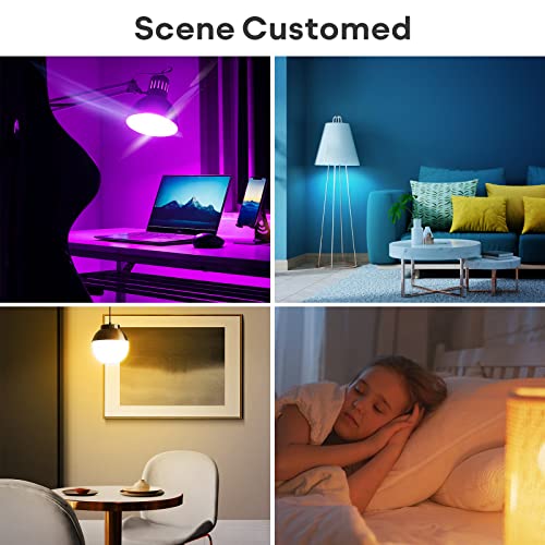 Smart Light Bulb Works with Apple Homekit