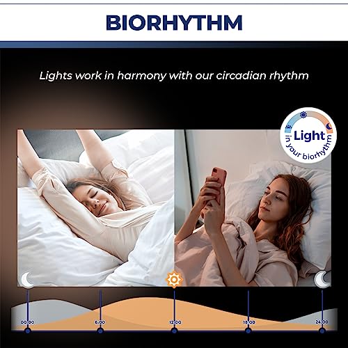 E12 Smart Light Bulbs 50W Equiv. (6 Count)