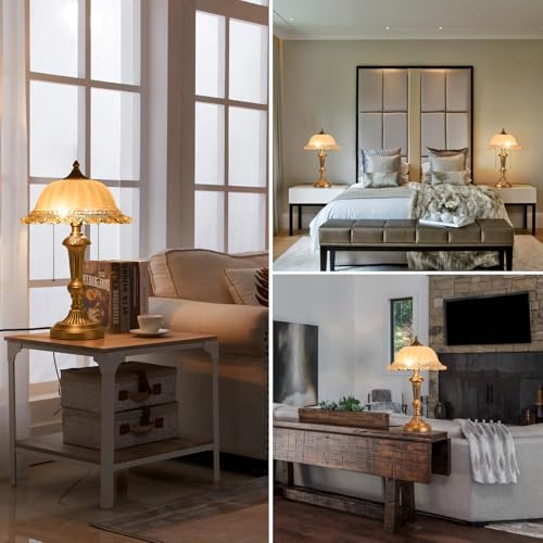 Glass Shade Table Lamp Vintage Metal Desk Lamp 2 Lights Table Light with Plug Switch for Bedroom Living Room Home Office Brass and Brown (2 Count)
