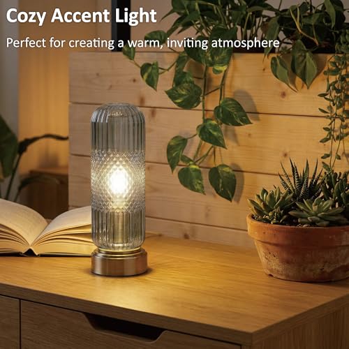 11.6 Inch Touch Dimmable Table Lamp