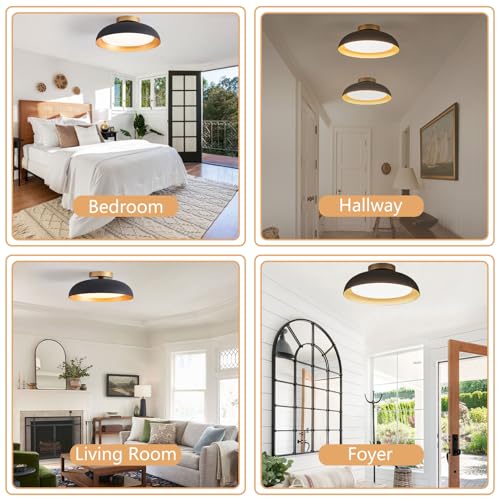 Flush Mount Ceiling Light