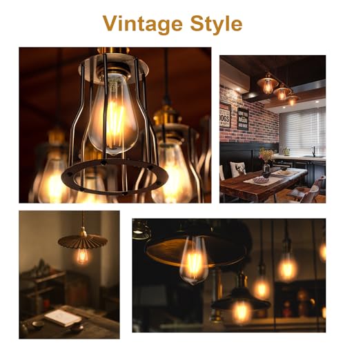 Edison Bulb ST58