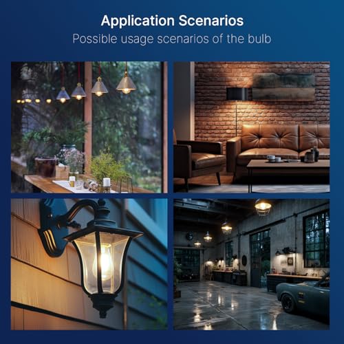 100W Equivalent LED Edison Bulbs (6 Count)