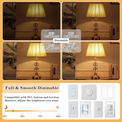 E26 LED Vintage Edison Light Bulbs 40 Watt (4 Count)