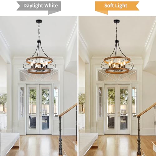 6 Light Farmhouse Chandelier