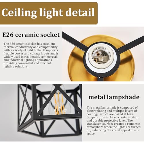 Modern Farmhouse Black and Gold Semi Flush Mount Ceiling Light 9.5 in