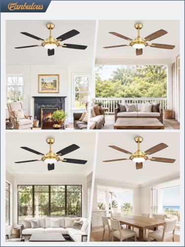 52 Inch Black Ceiling Fans with 3CCT Lights and Remote (Gold / 52")