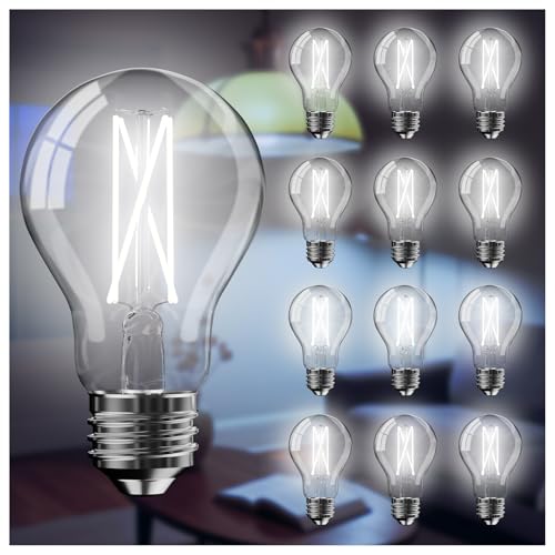 12 Pack A19 Vintage LED Edison Bulbs (12 Count)