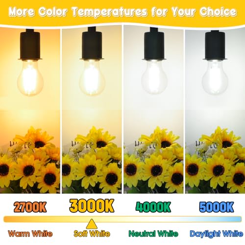 60W Equivalent E26 LED Filament Light Bulbs (4 Count)
