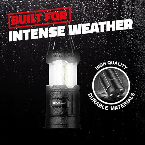 2 Pack Battery Powered LED Lanterns with Batteries for Each Lantern (2 Count)
