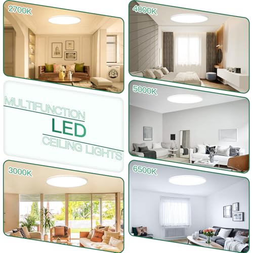 19 Inch Dimmable Large Flush Mount Ceiling Light Fixture