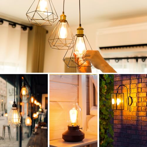 LED Edison Bulb 60 watt Equivalent (12 Count)