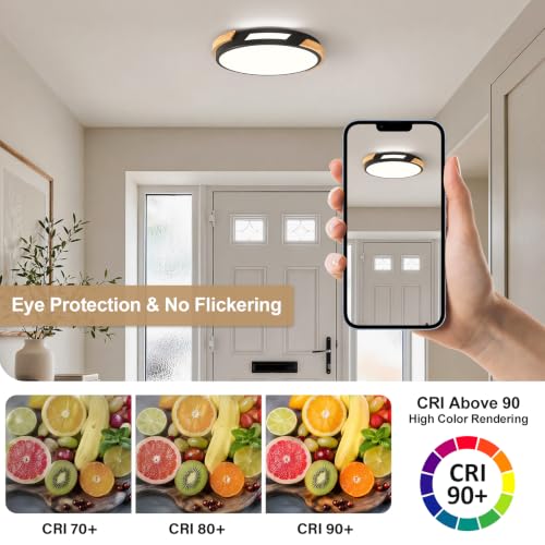 Modern LED Ceiling Light