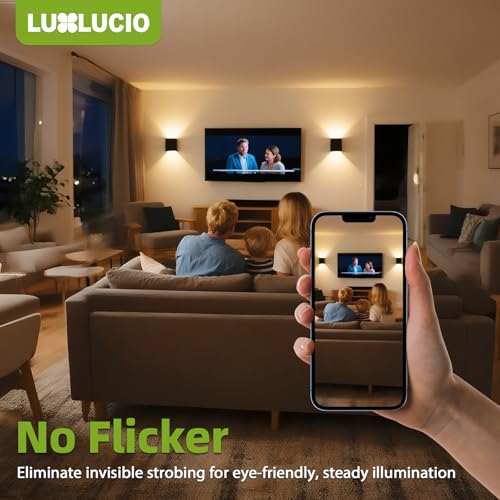 2 Pack Indoor Outdoor Black Up and Down LED Wall Light (2 Count)