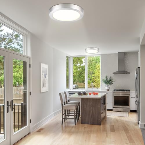 Flush Mount Ceiling Light Fixture (2 Count)