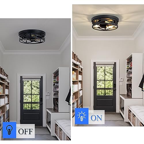 13 inch Black Flush Mount Ceiling Light Fixture