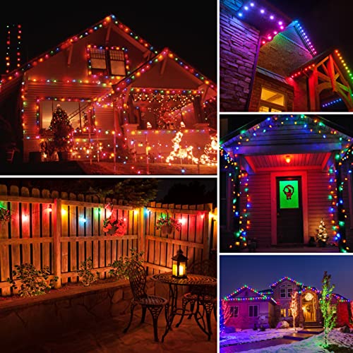 24Pack S14 Colored LED String Light Bulbs (24 Count)