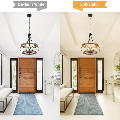 5 Light Farmhouse Chandelier (5 Count)